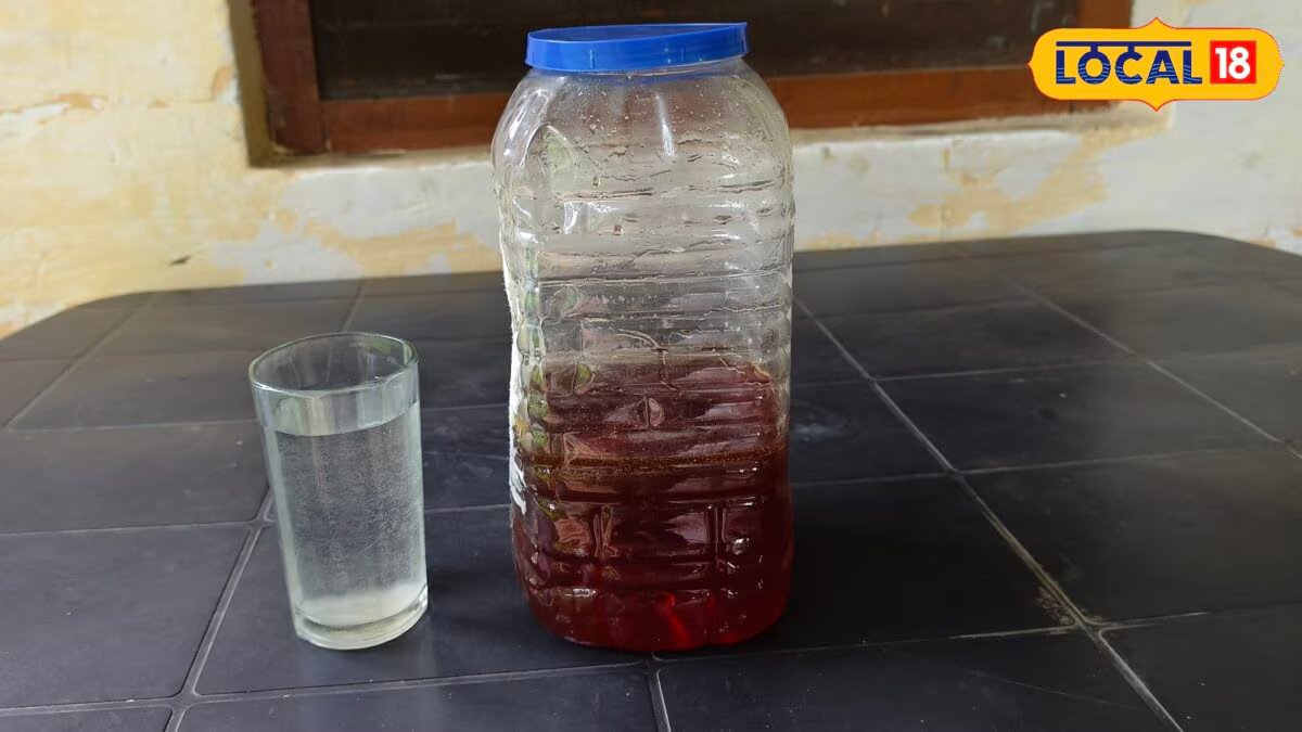 How To Check Pure Honey: असली शहद खरीद रहे हैं या नकली? 12 साल के अनुभवी बी-कीपर से जानिए पहचान के 3 आसान तरीके